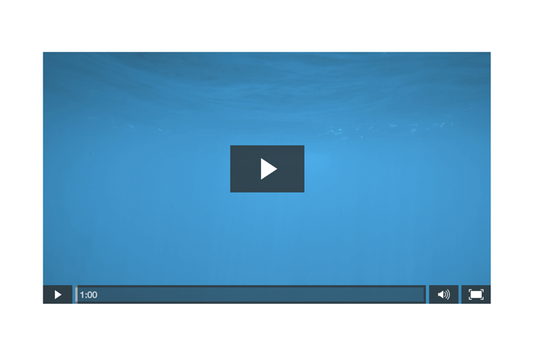 Wistia Video Player PSD