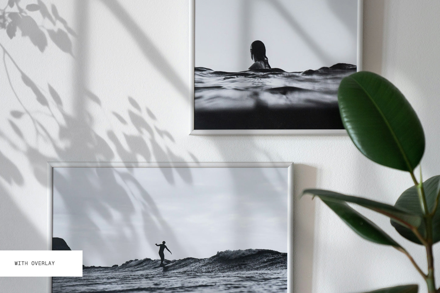 Botanical Shadow Overlays