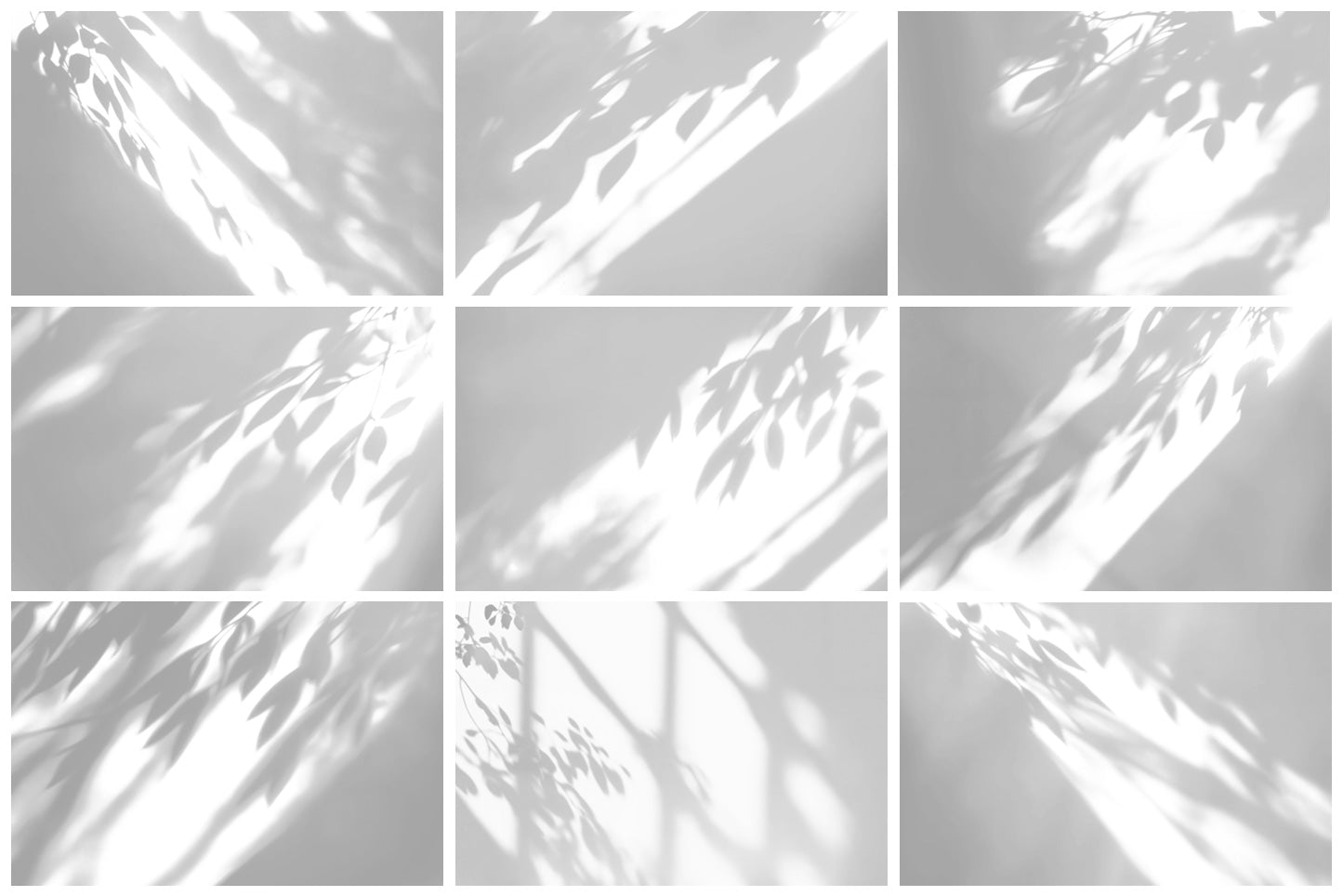 Botanical Shadow Overlays