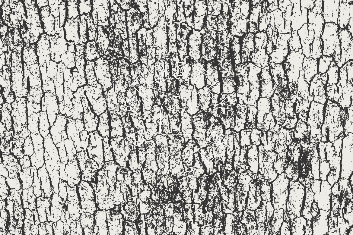 Tree Bark Vector Textures