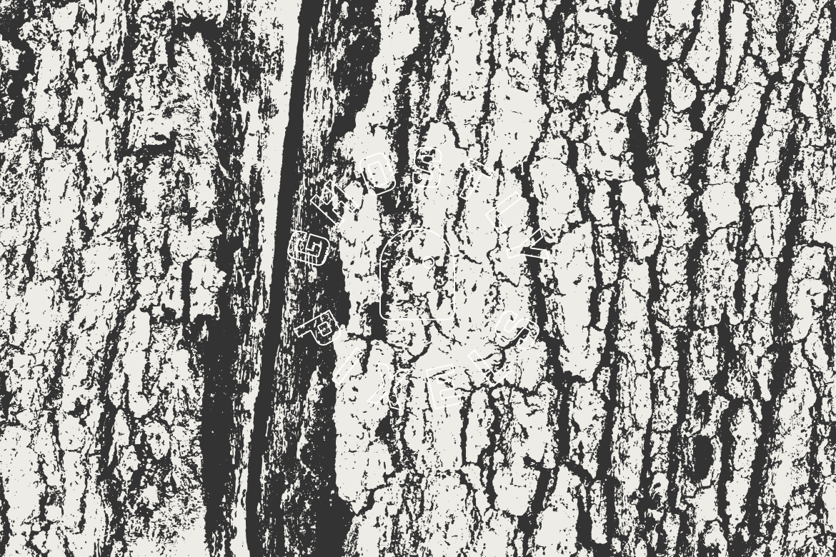 Tree Bark Vector Textures