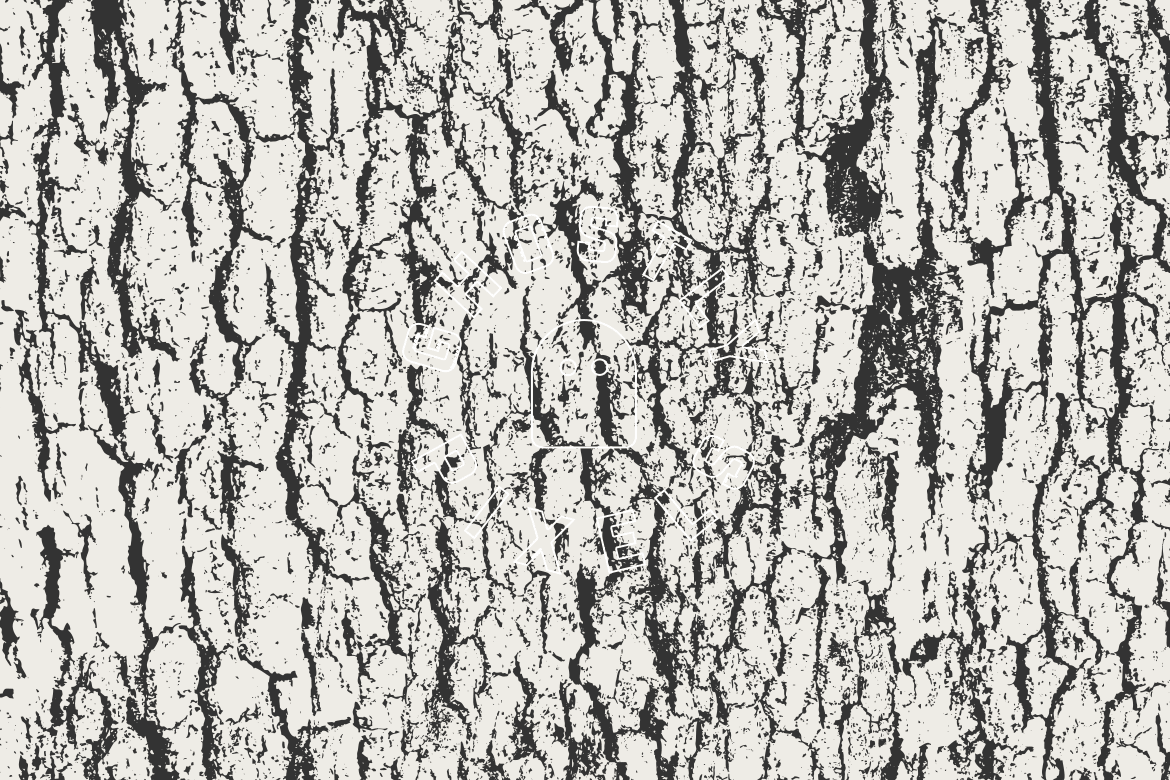 Tree Bark Vector Textures