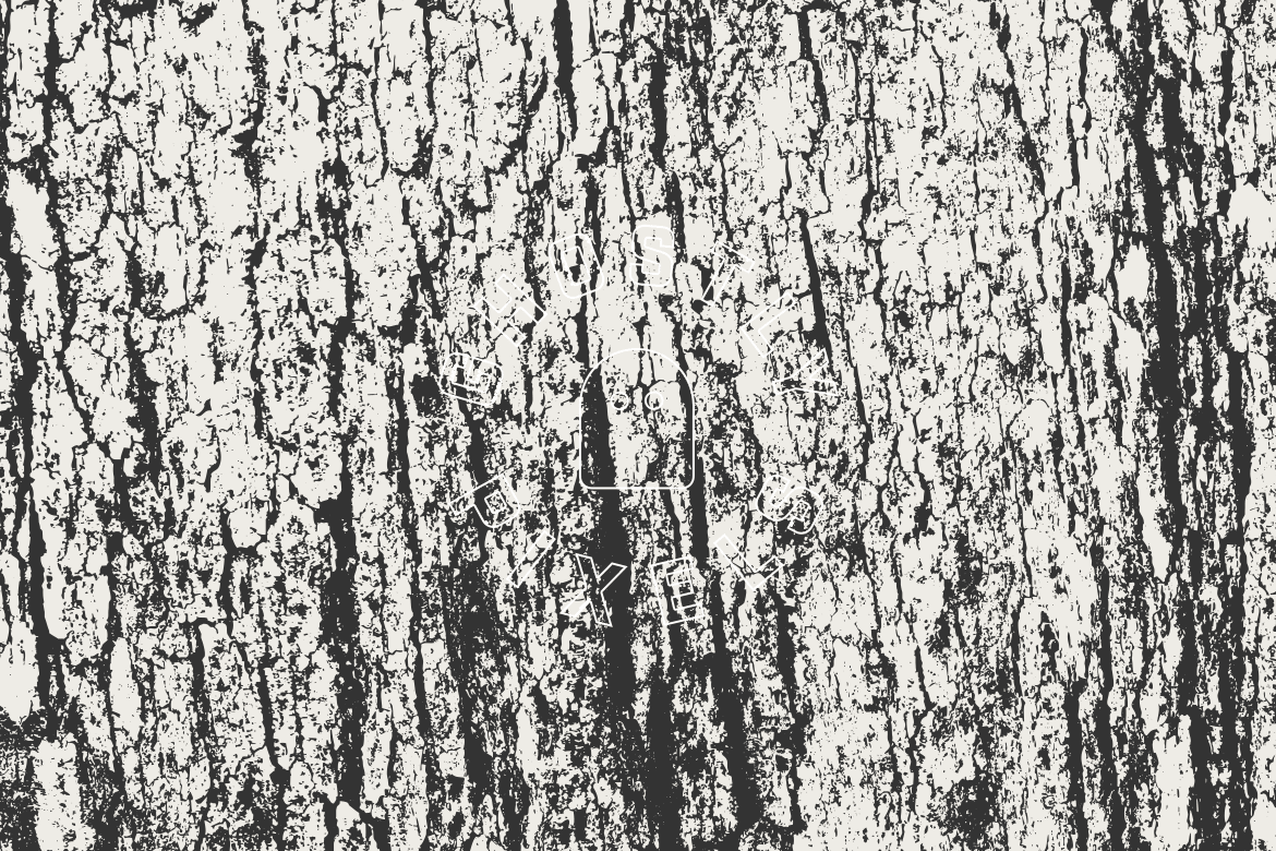 Tree Bark Vector Textures