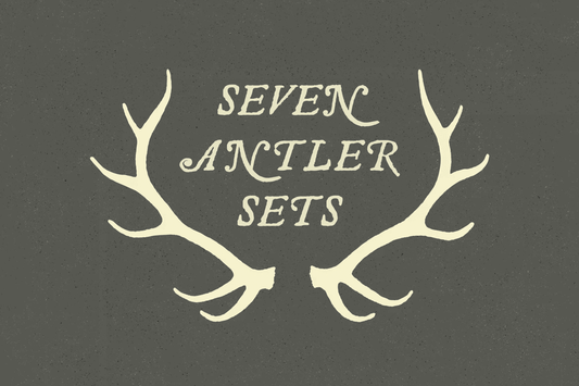 Deer Antler Illustration Vectors