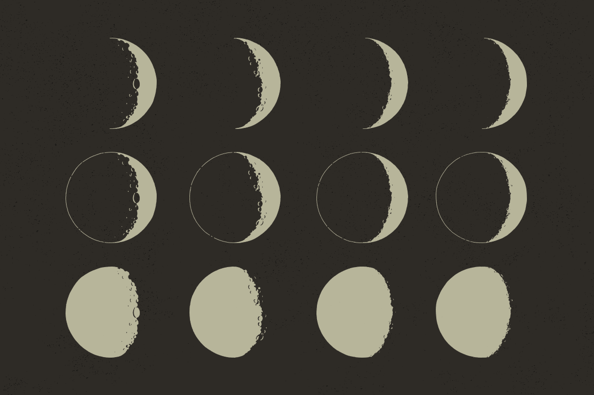 Lunar moon phases vectors