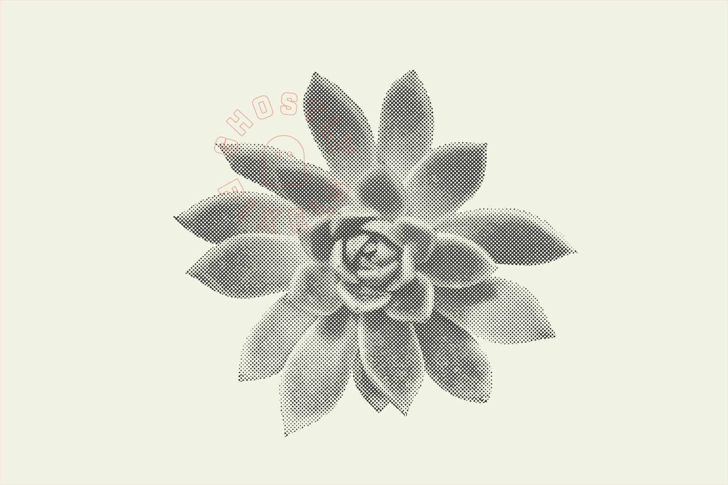 Vector Succulents