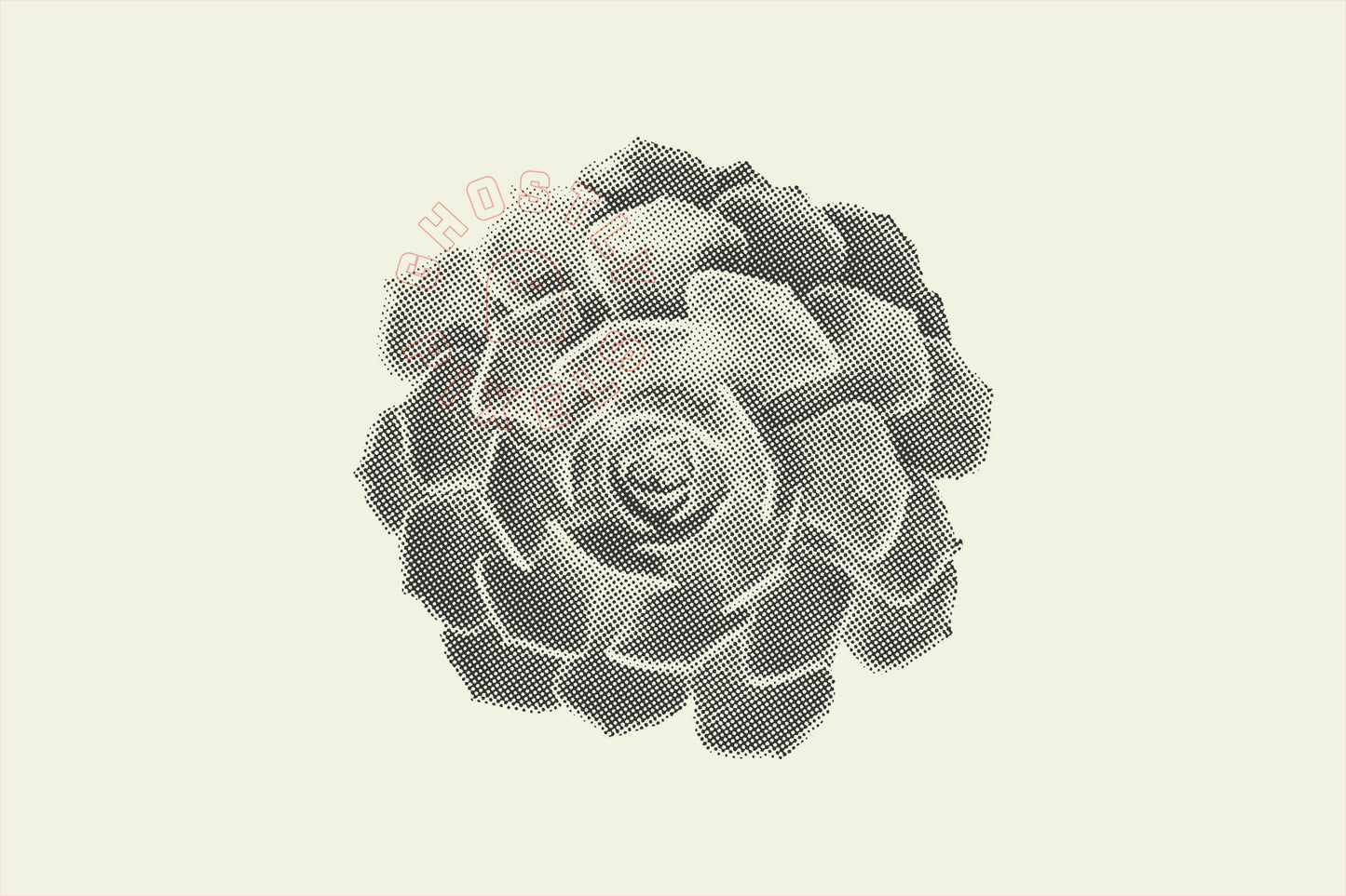 Vector Succulents