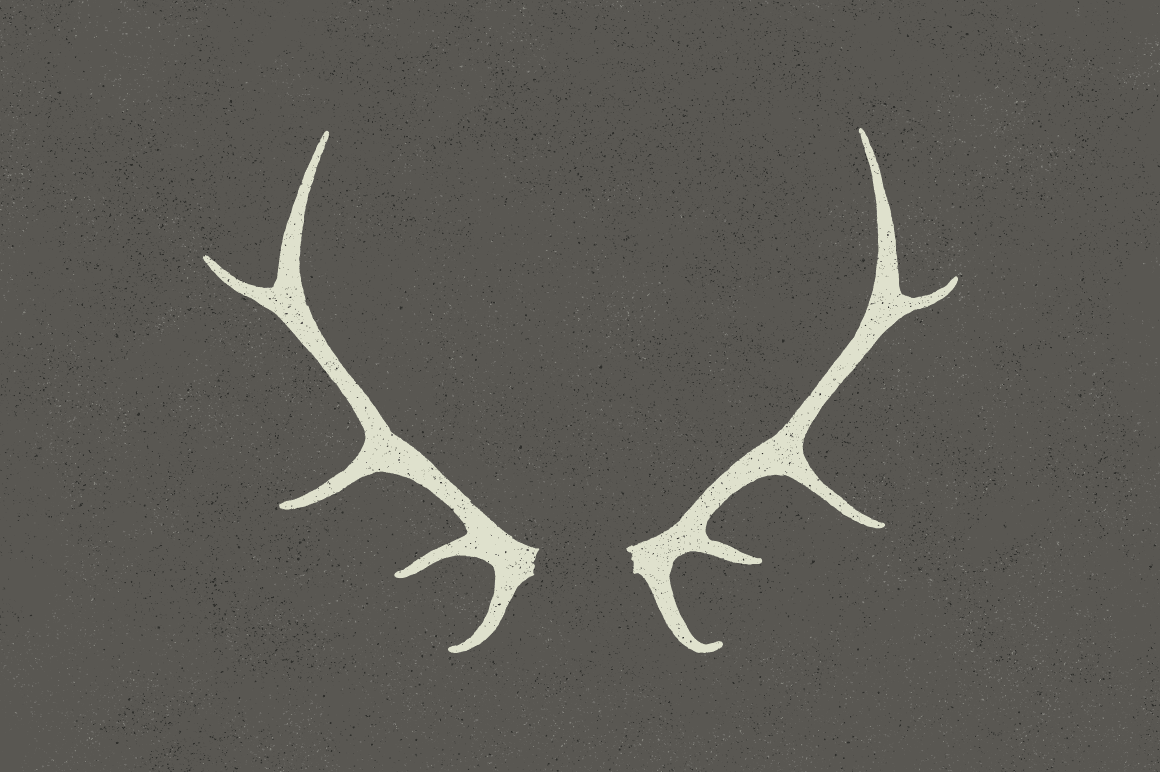 Deer rack vector illustration