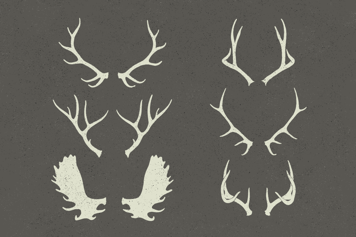 Wildlife antlers illustrations