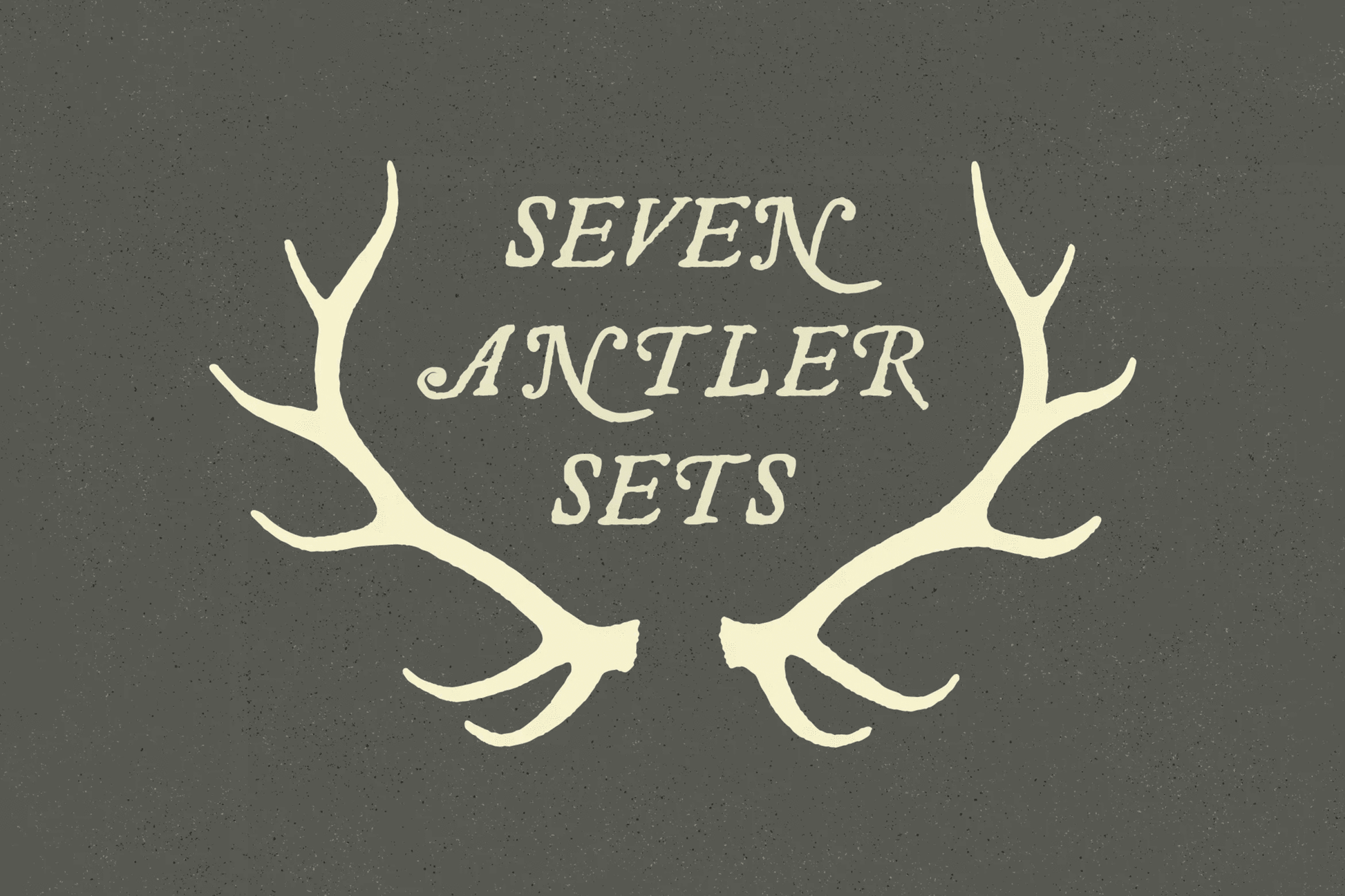 Deer Antler Illustration Vectors