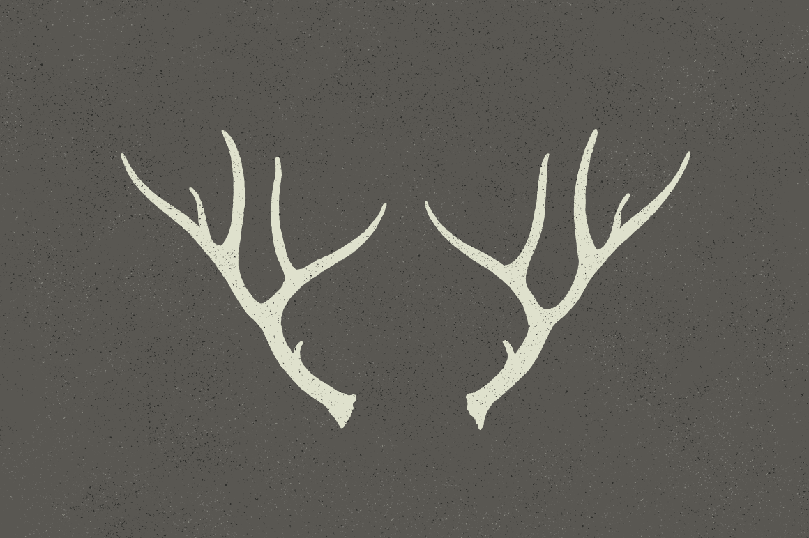 Deer antlers vectors