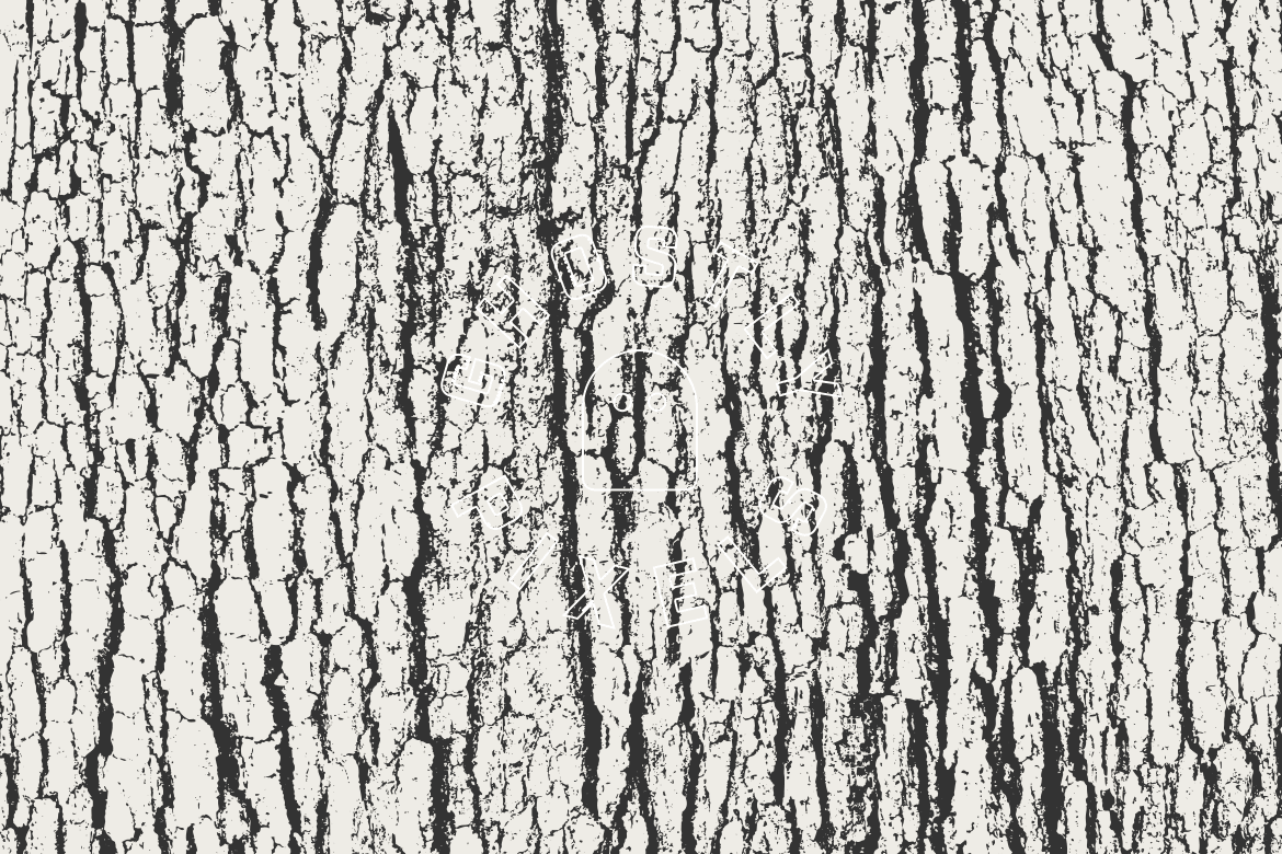 Tree Bark Vector Textures – GhostlyPixels